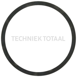 DANA Spicer Pass - Scheibe Differential Vorderachse 712, 6 g