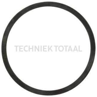 DANA Spicer Pass - Scheibe Differential Vorderachse 712, 1 g