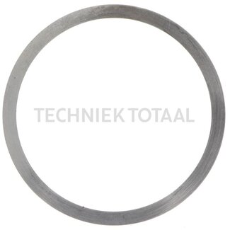 DANA Spicer Pass - Scheibe Differential Vorderachse 718, 6 g