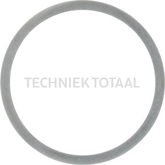 DANA Spicer Opvulring differentieel vooras 718, 8 g