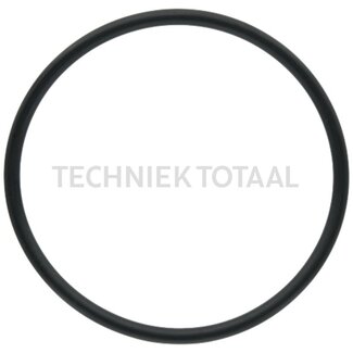 DANA Spicer Afdichting differentiaalzuigers vooras 740 Massey Ferguson