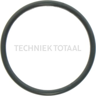 DANA Spicer O-Ring Differential Vorderachse 740, 2 g