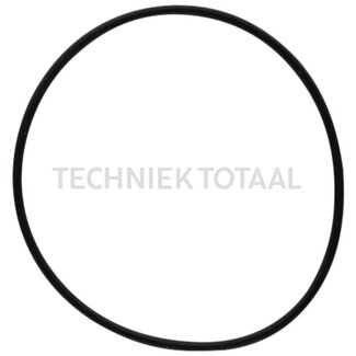 DANA Spicer O-Ring Endgetriebe Vorderachse 740, 4 g