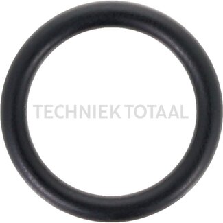 DANA Spicer O-Ring Endgetriebe Vorderachse 745, 1 g