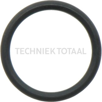 DANA Spicer O-Ring Differential Vorderachse 172, 1 g