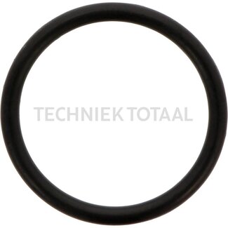 DANA Spicer O-Ring Differential Vorderachse 172, 2 g