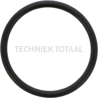 DANA Spicer O-ring differential front axle 970, 2 g