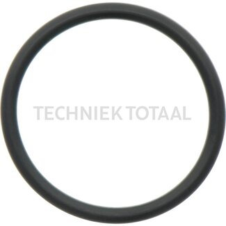 DANA Spicer O-ring remsysteem vooras 603, 2 g