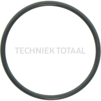 DANA Spicer O-ring differentieel vooras 745, 6 g