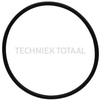DANA Spicer O-Ring Differential Vorderachse 755, 2 g