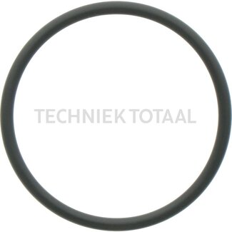 DANA Spicer O-Ring Endgetriebe Vorderachse 740, 2 g