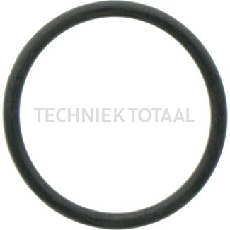 DANA Spicer O-Ring Differential Vorderachse 750, 1 g