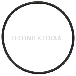 DANA Spicer O-Ring Bremsanlage Vorderachse 603, 4 g
