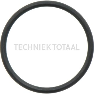 DANA Spicer O-ring eindaandrijving vooras 172, 2 g