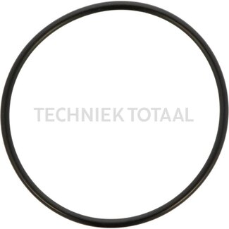 DANA Spicer O-Ring Differential Vorderachse 770, 2 g