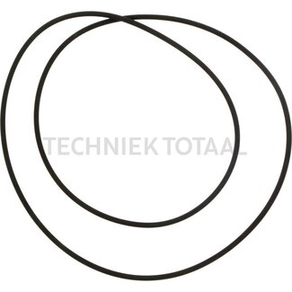 DANA Spicer O-Ring Endgetriebe Vorderachse 740, 6 g