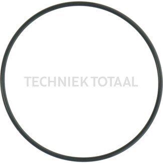 DANA Spicer O-Ring Differential Vorderachse 172, 5 g