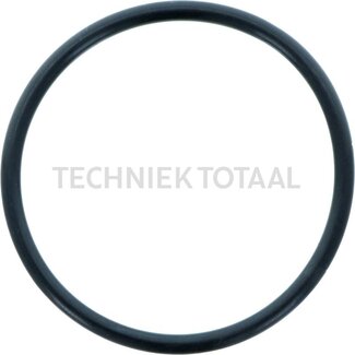 DANA Spicer O-Ring Differential Vorderachse 725, 2 g