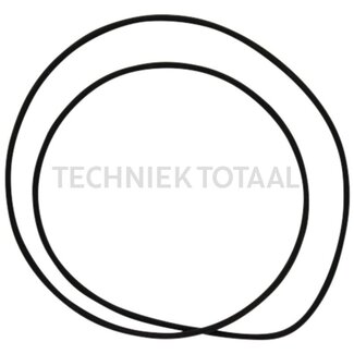 DANA Spicer O-Ring Nabe 200 x 3 mm Vorderachse 725/534