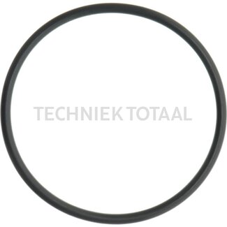 DANA Spicer O-Ring Endgetriebe Vorderachse 172, 8 g