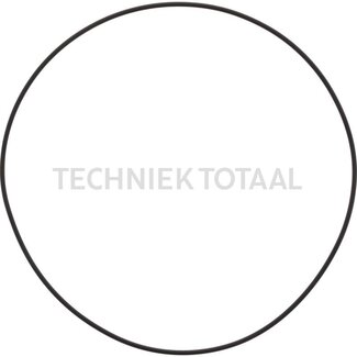 DANA Spicer O-Ring Endgetriebe Vorderachse 725, 4 g