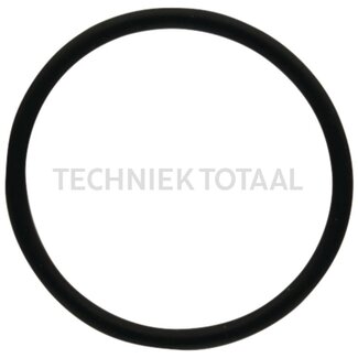 DANA Spicer O-ring differentieel vooras 708, 1 g