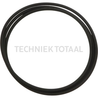 DANA Spicer O-ring eindaandrijving vooras 733, 4 g
