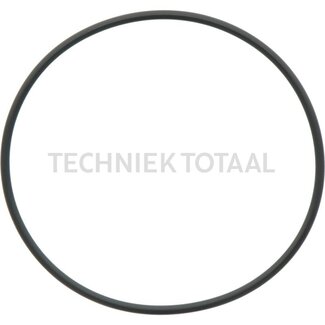 DANA Spicer O-Ring Endgetriebe Vorderachse 700, 1 g