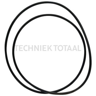 DANA Spicer O-Ring Endgetriebe Vorderachse 709, 170 x 3 mm