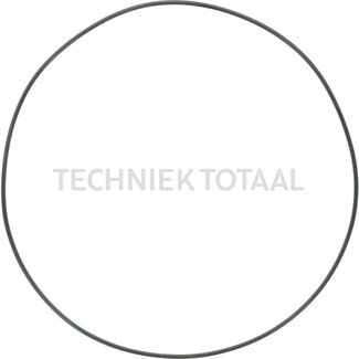 DANA Spicer O-Ring Endgetriebe Vorderachse 708, 10 g