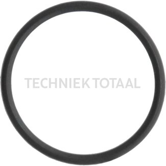 DANA Spicer O-Ring Bremsanlage Vorderachse 212, 4 g