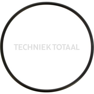 DANA Spicer O-Ring Endgetriebe Vorderachse 212, 2 g