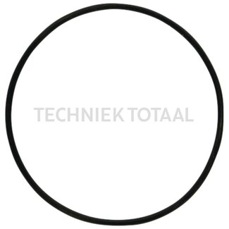 DANA Spicer O-ring differentieel vooras 755, 1 g