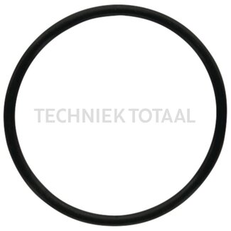 DANA Spicer O-Ring Differential Vorderachse 745, 2 g