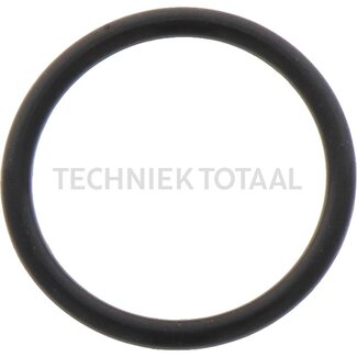 DANA Spicer O-Ring Getriebe Vorderachse 357, 1 g