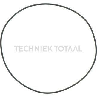 DANA Spicer O-Ring Getriebe Vorderachse 357, 2 g