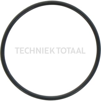 DANA Spicer O-Ring Bremsanlage Vorderachse 212, 2 g