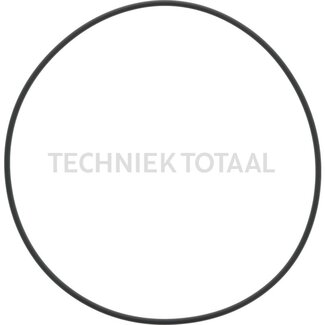 DANA Spicer O-Ring Vorderachse 970 Unterstützung, 4 g