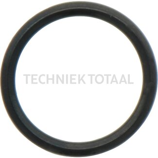 DANA Spicer O-Ring Vorderachse 770 Zentral Gehaeuse, 1 g