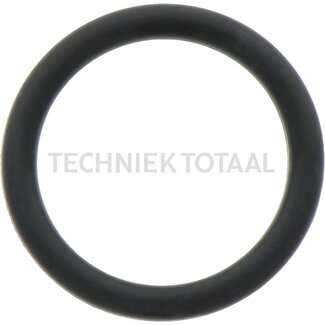 DANA Spicer O-Ring Vorderachse 357 Getriebe, 1 g