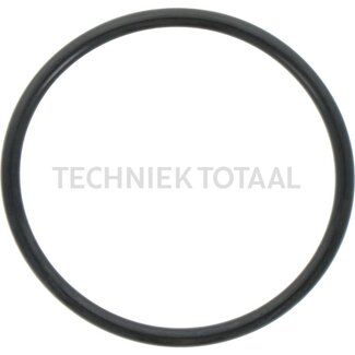 DANA Spicer O-Ring Vorderachse 357 Getriebe, 4 g