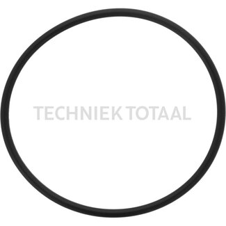 DANA Spicer O-ring vooras 750 centrale behuizing, 8 g