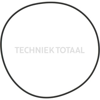 DANA Spicer O-Ring Vorderachse 755 as, 10 g