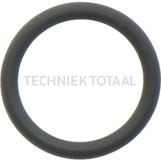 DANA Spicer O-ring vooras 357 transmissie, 1 g