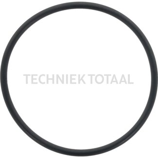 DANA Spicer O-ring vooras 740 centrale behuizing, 8 g