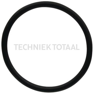 DANA Spicer O-Ring Vorderachse 725 Differential, 2 g