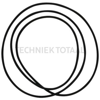 DANA Spicer O-ring final drive front axle 770, 12 g