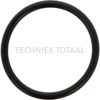 DANA Spicer O-ring differential front axle 212, 2 g
