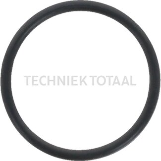 DANA Spicer O-Ring Lenkung Vorderachse 221, 1 g