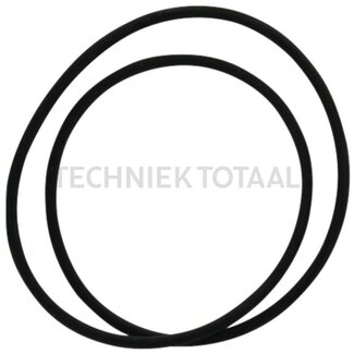 DANA Spicer O-ring as vooras 745, 4 g